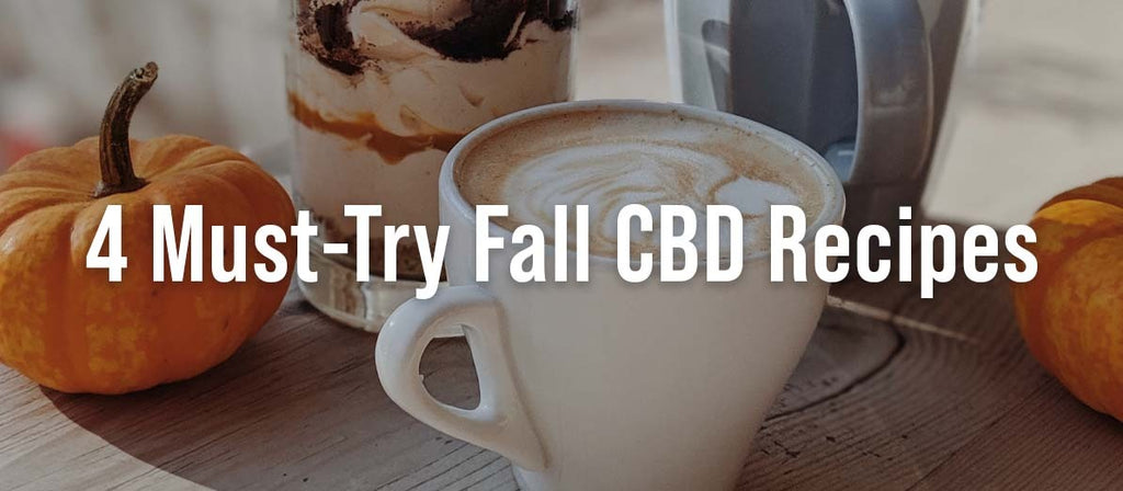 4 Must-Try Fall CBD Recipes