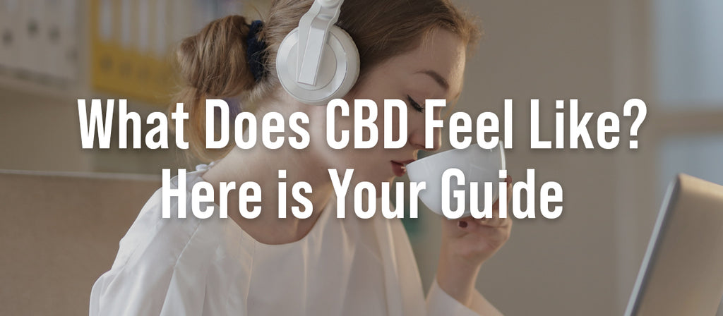 What Does CBD Feel Like? Here is Your Guide