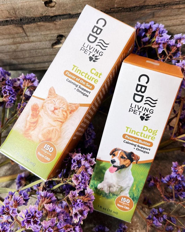 Super Chill Store.com